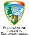 logo fie